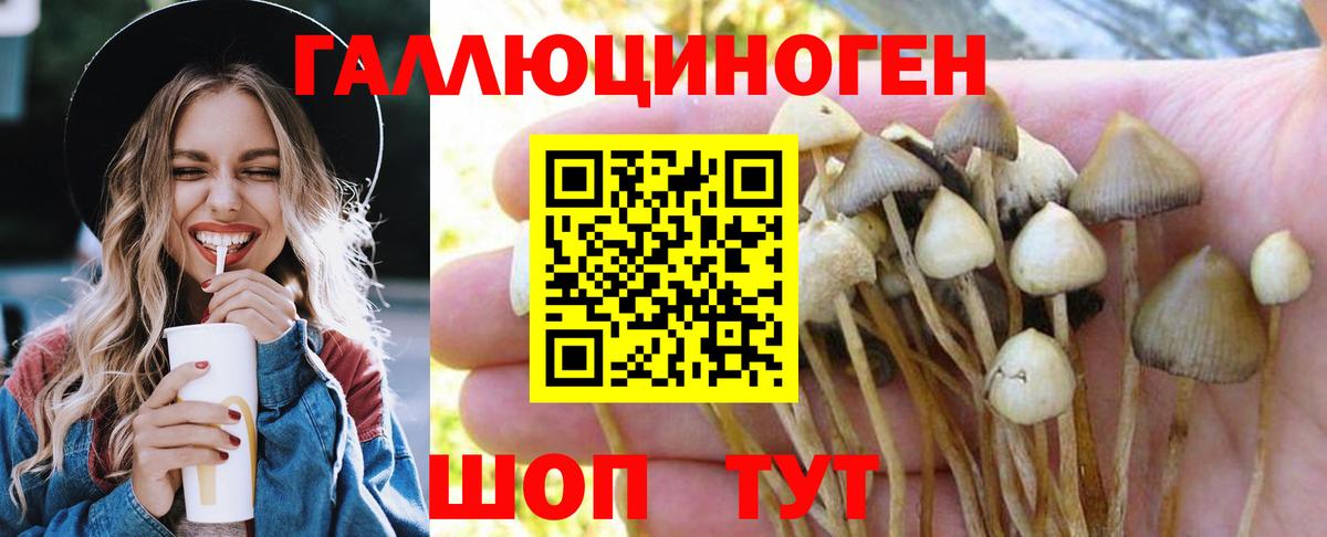 Галлюциногенные грибы мицелий Новошахтинск